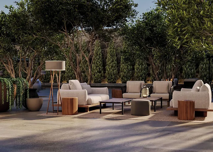 The Lince Santa Clara